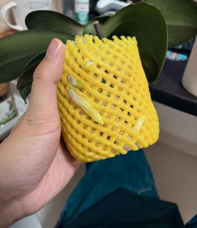 网也有这么多妙用可惜了之前扔掉的开元ky棋牌万万没想到水果泡沫(图8)